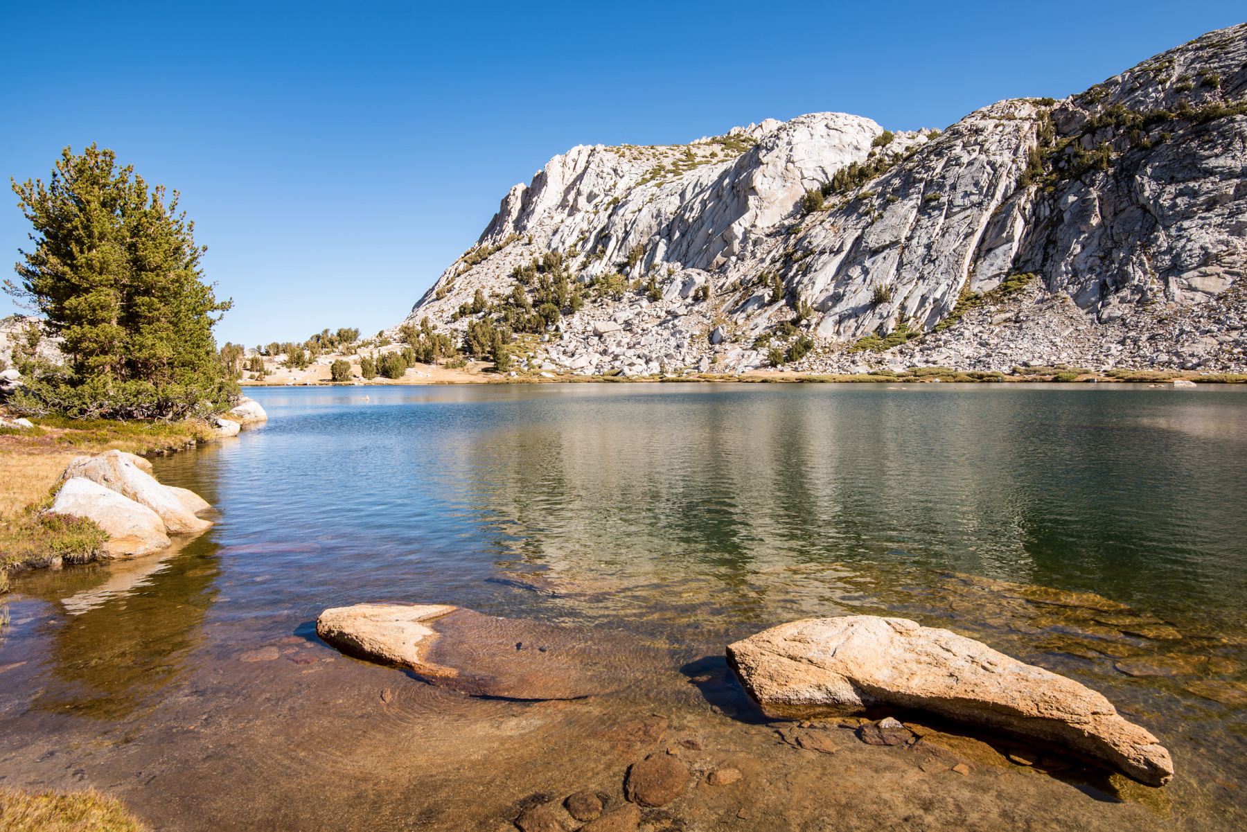 Vogelsang Lake